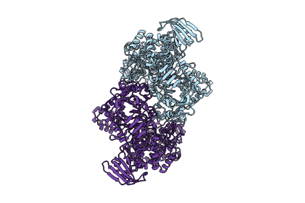 9H8V image