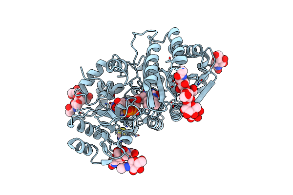9H92 image