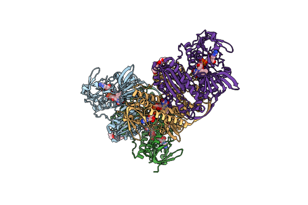 9H9C image