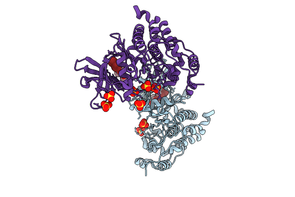 9H9D image