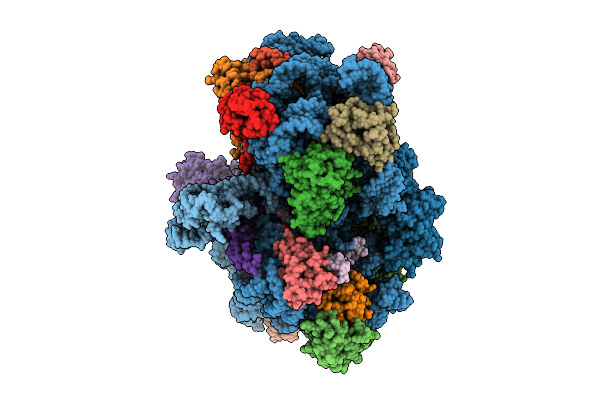 9H9H image