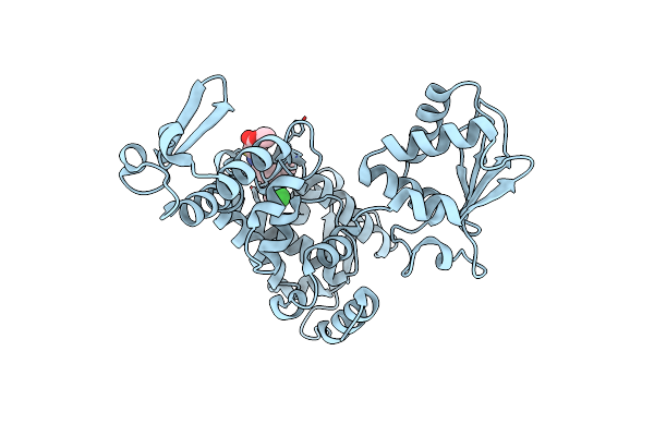 9H9T image