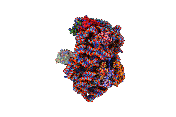 9HA4 image