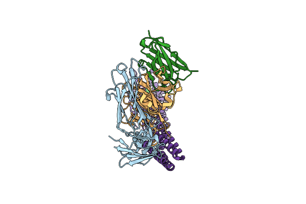 9HAP image