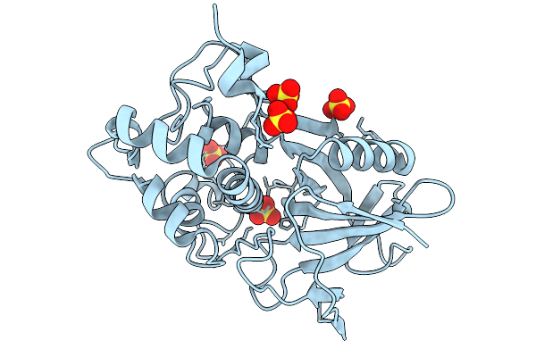 9HB1 image