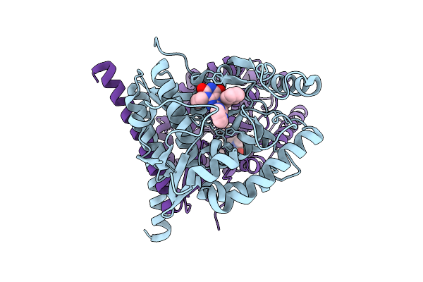 9HB7 image