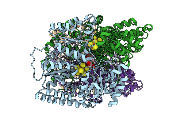 9HBN image