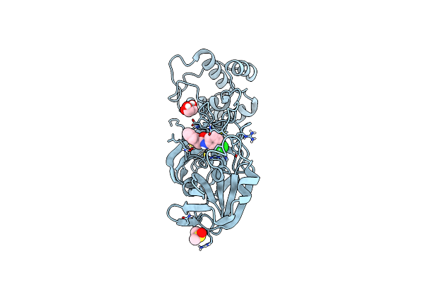9HBQ image