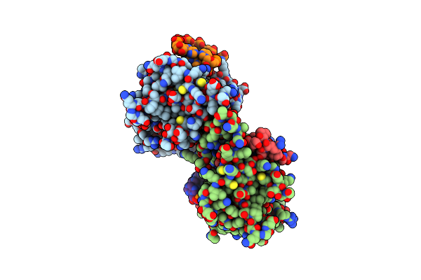 9HBV image