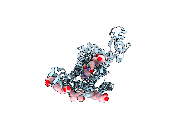9HC0 image