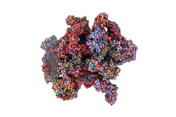9HCD image