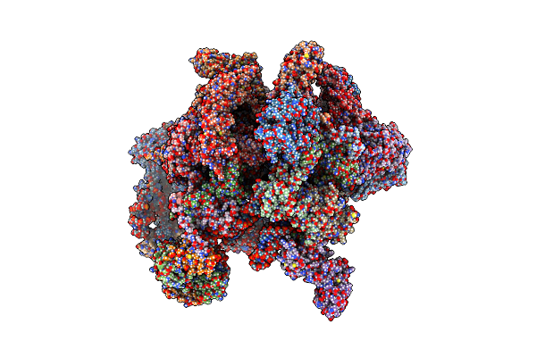 9HCE image