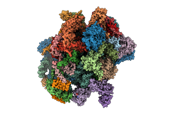 9HCF image