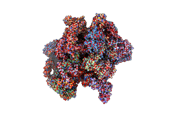9HCH image
