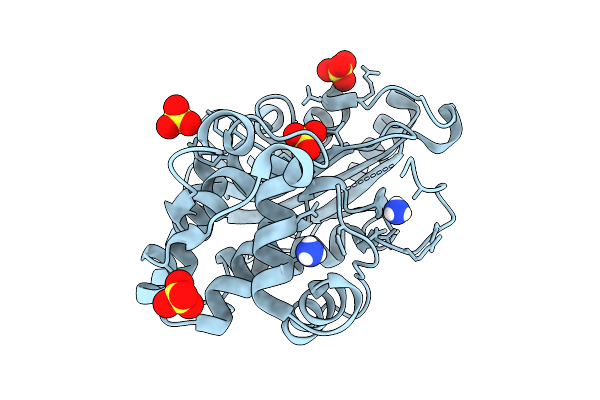 9HCK image