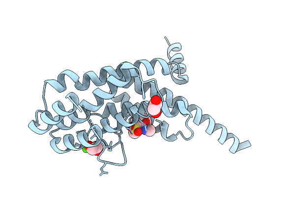 9HCN image