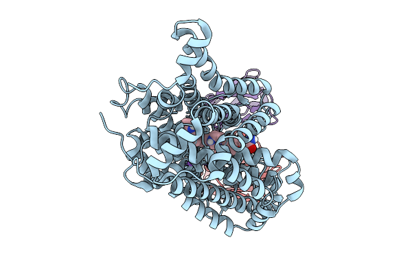 9HCO image