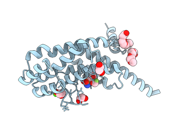 9HCP image