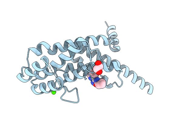 9HCV image