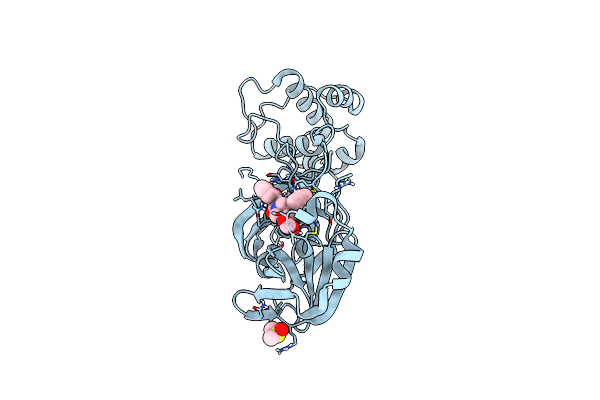 9HDC image
