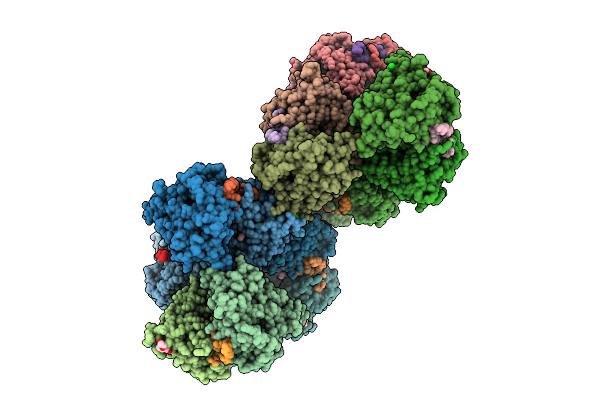 9HDF image