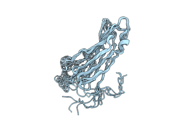 9HDI image