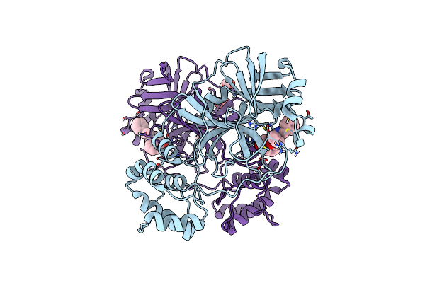 9HDJ image