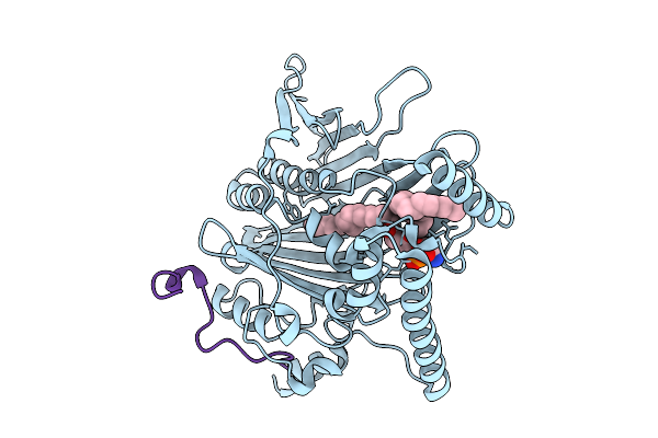 9HDK image