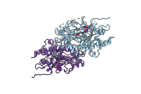 9HDM image
