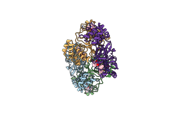 9HDN image