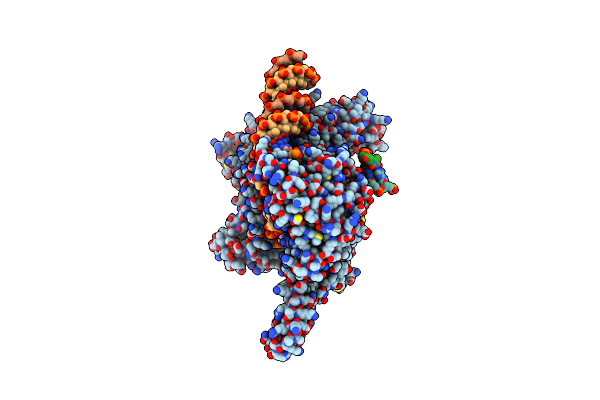 9HDP image