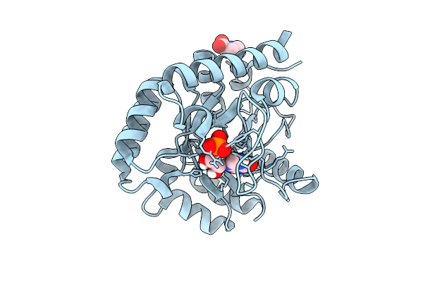 9HDU image