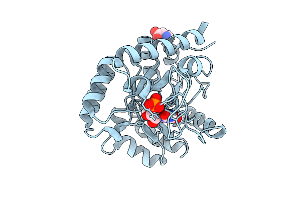 9HDV image