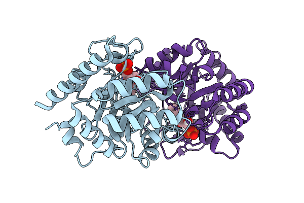 9HDX image