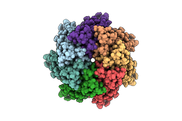 9HEV image