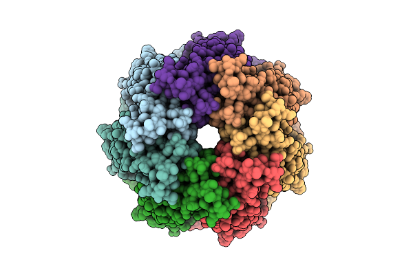 9HEX image