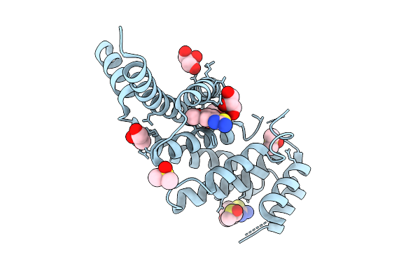 9HF9 image