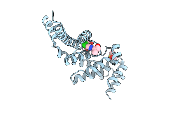 9HFF image