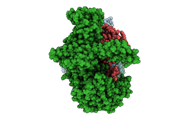 9HFL image