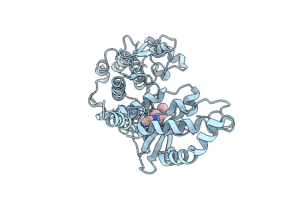9HFP image