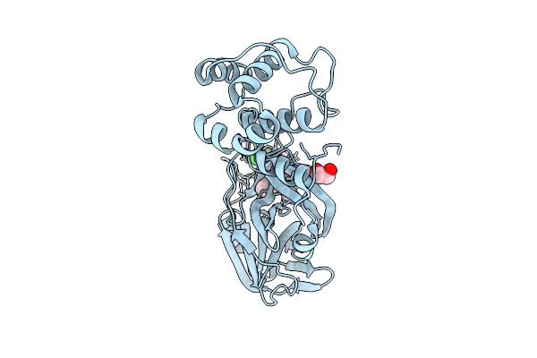 9HFX image