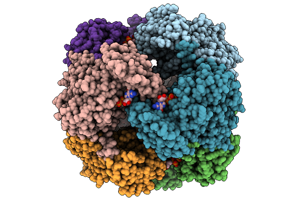9HG3 image