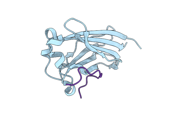 9HGH image