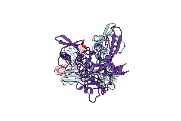 9HH5 image