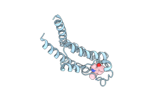 9HHD image