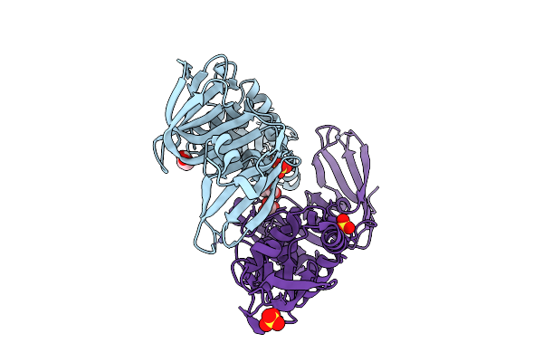 9HHH image