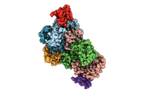 9HIZ image