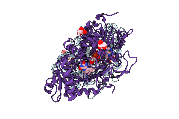 9HJ5 image
