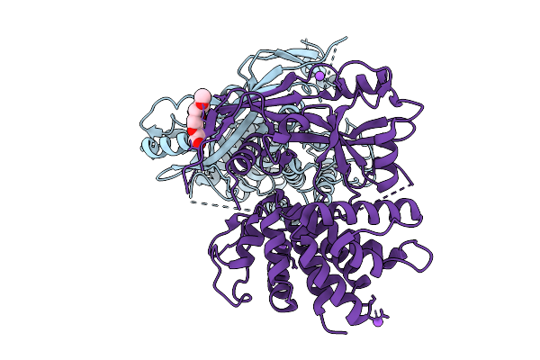 9HJP image