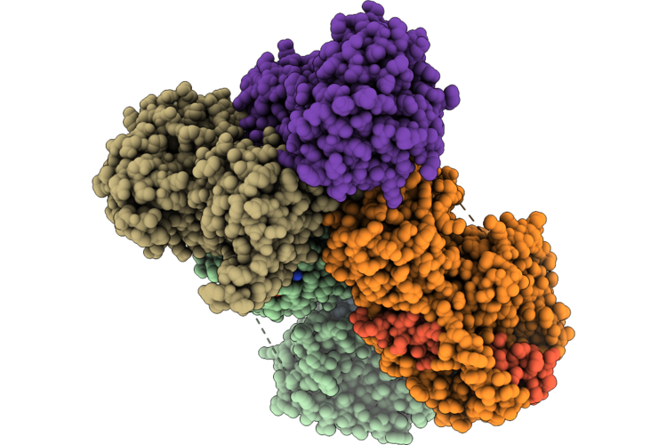 9HJX image